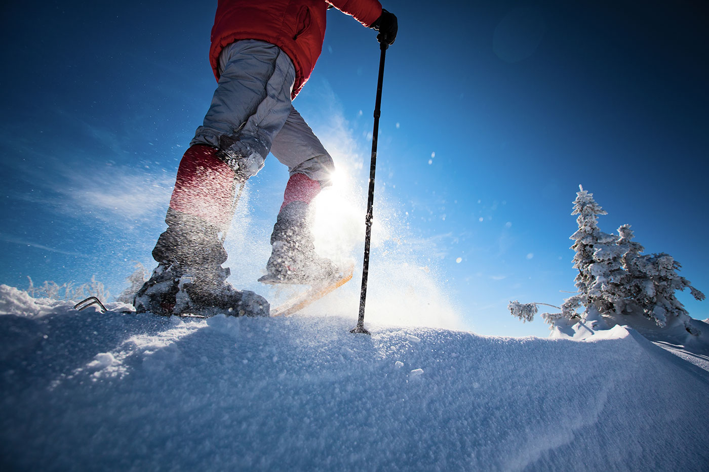 Kolfuschgerhof Snowshoeing and sledging: a paradise for families